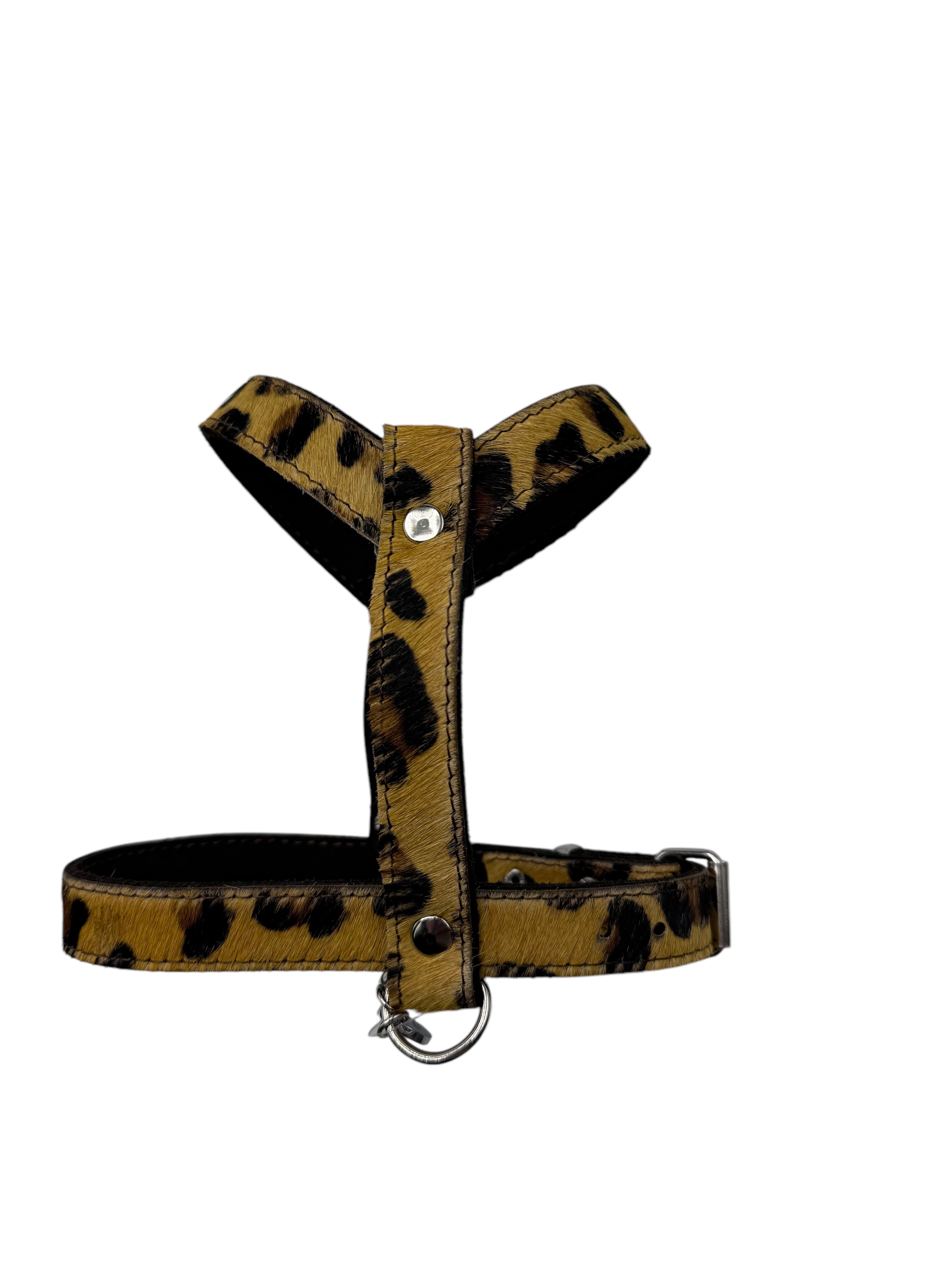 Ledergeschirr Leopard 